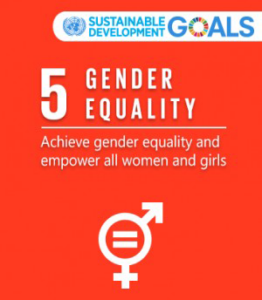 https://i0.wp.com/www.ellaster.nl/wp-content/uploads/2022/08/sdg-goal-5-gender-equality_01-300.png?resize=200%2C229&ssl=1